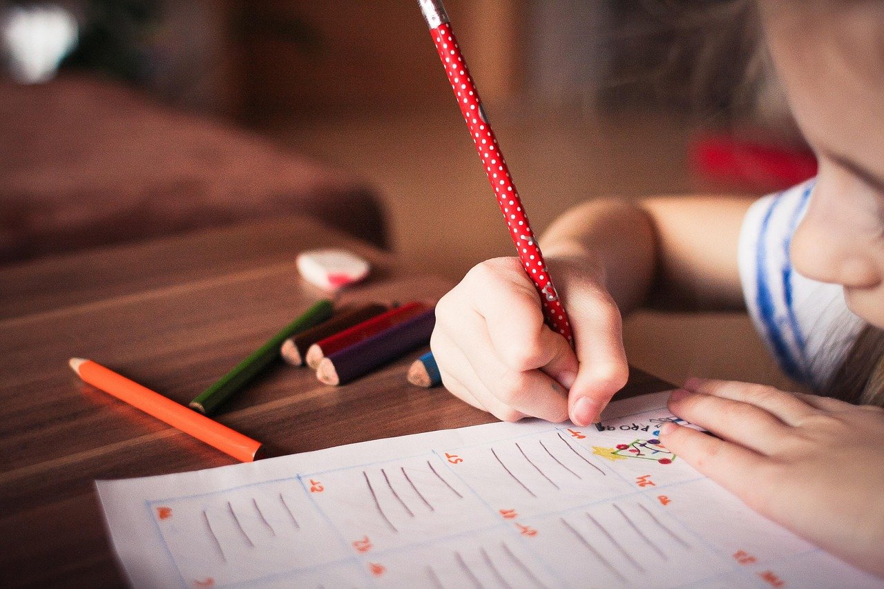 Primary school student mastering base concepts